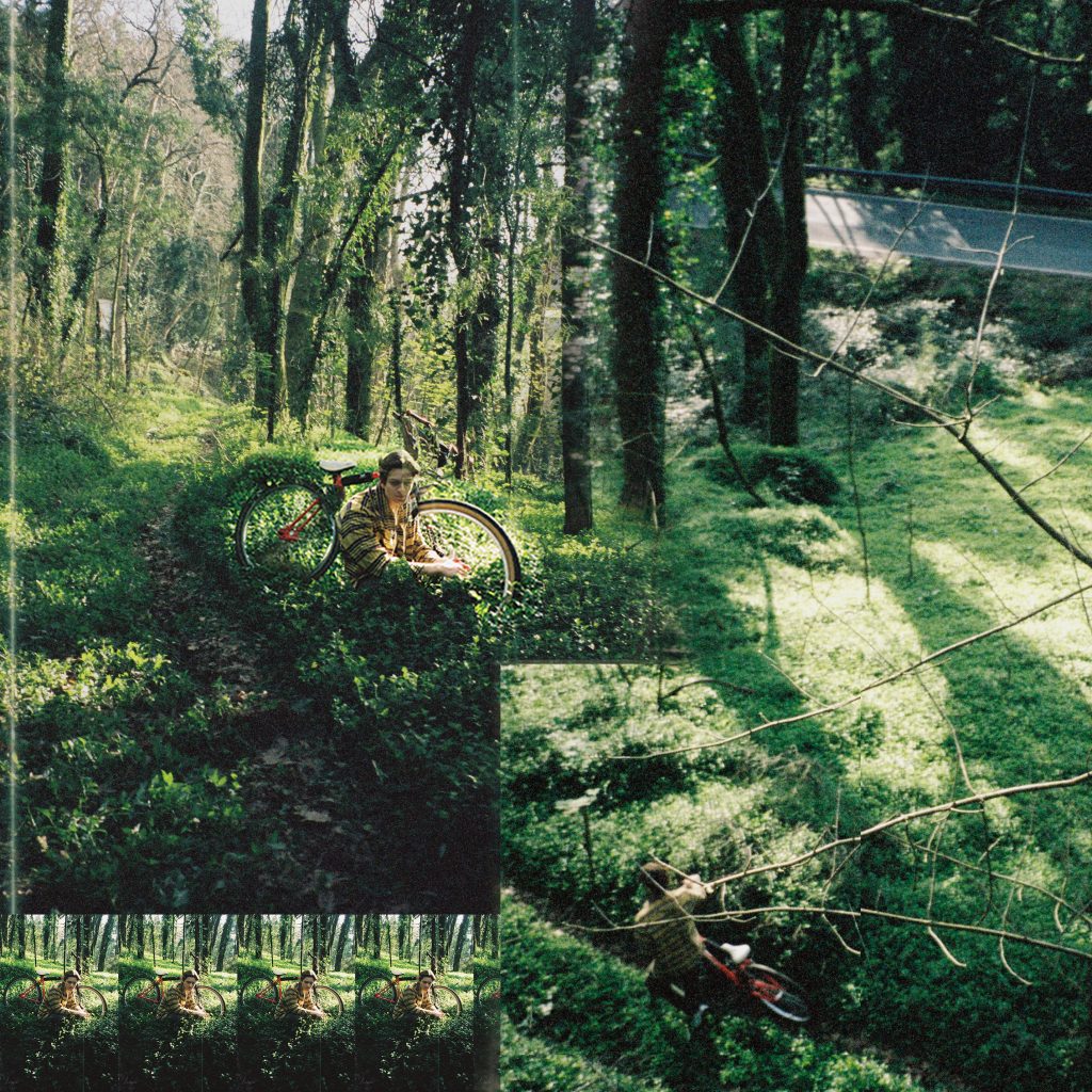 pinewood-share_01