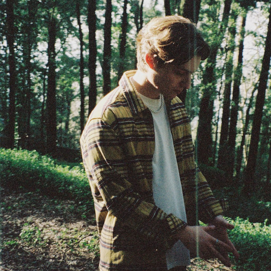 pinewood-share_02