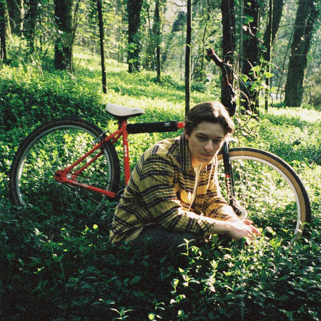 pinewood-share_07